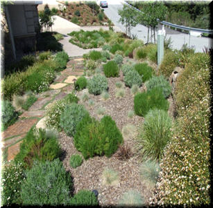 Simple Elegance Garden